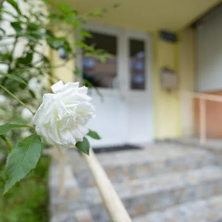 Apartment Gabi's Brasov