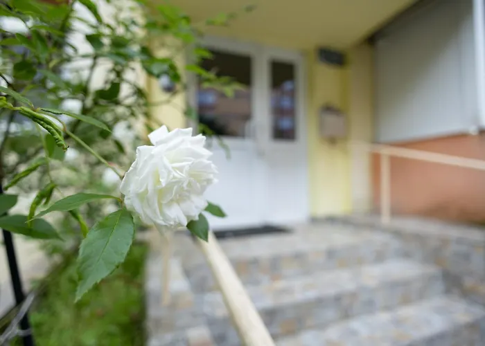 Apartament Gabi's Braszów